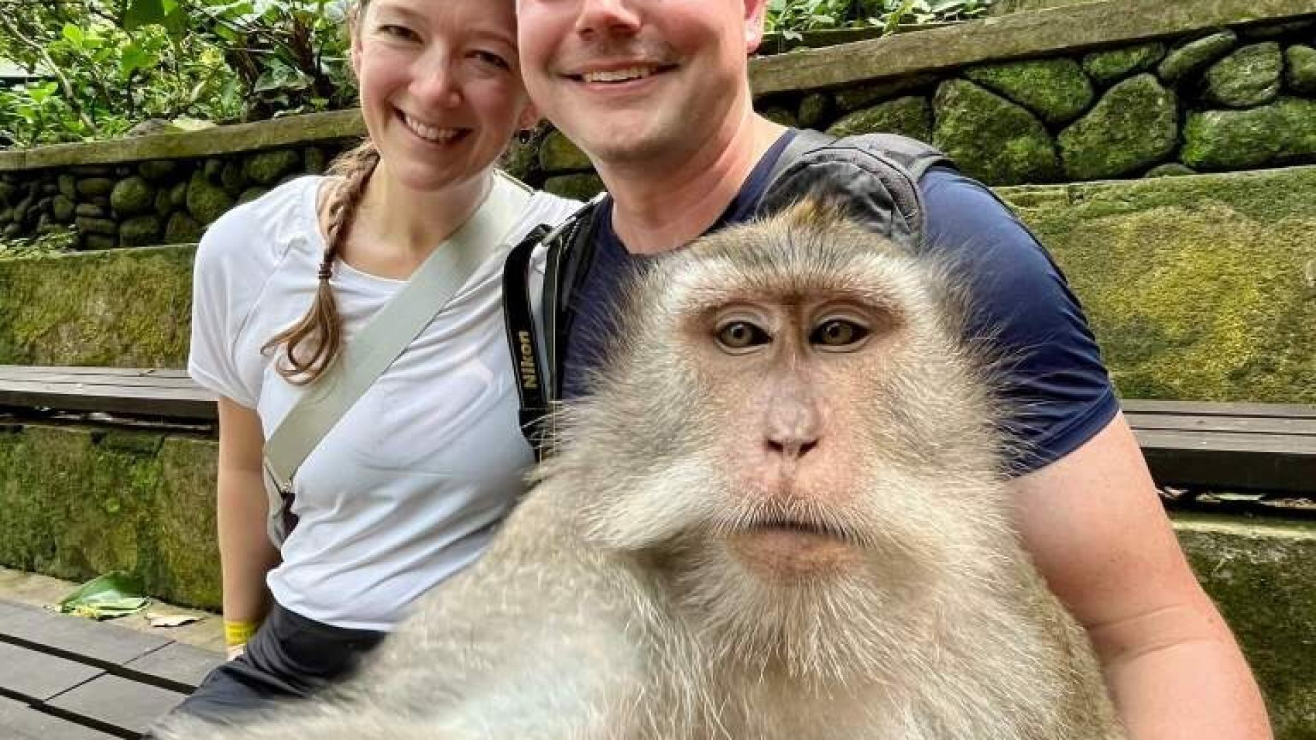 Ubud Monkey Forest