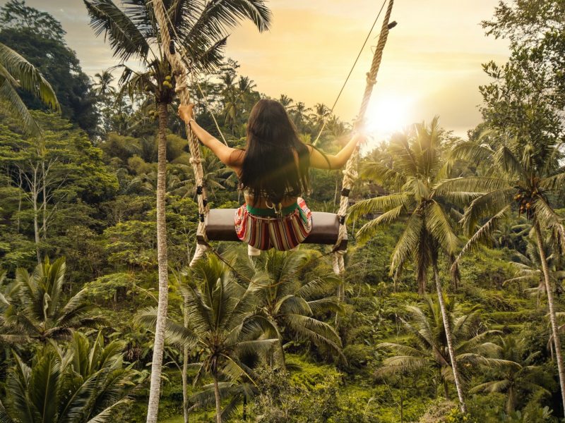 Ubud Swing